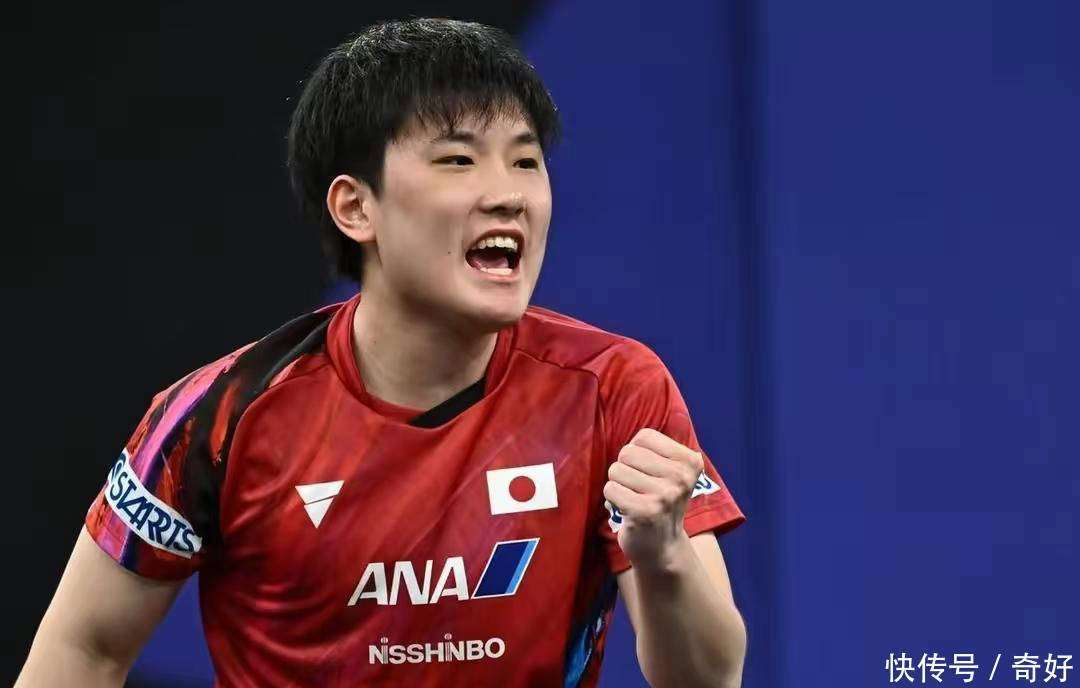日本队碾压中国队，张本智和高光表现
