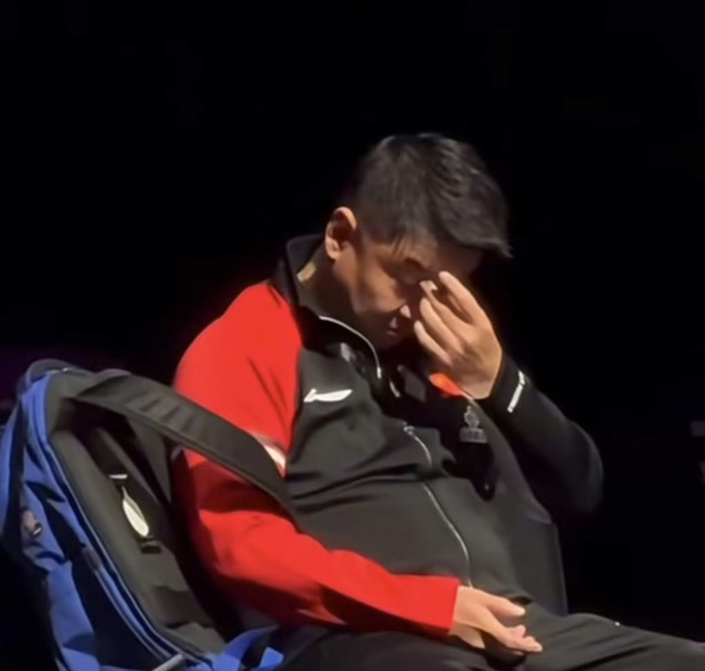 法国乒乓球队碾压波兰乒乓球队，王皓统治全场