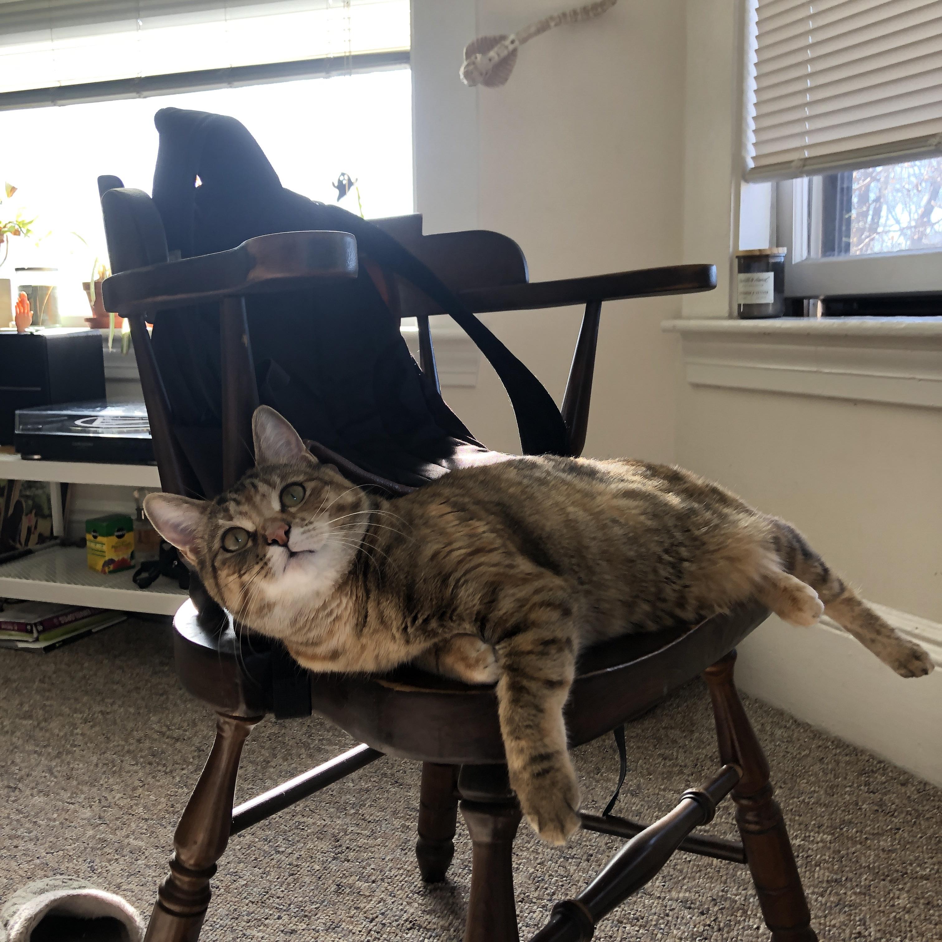 西甲国家德比之夜，蒂亚戈全场最佳无争议